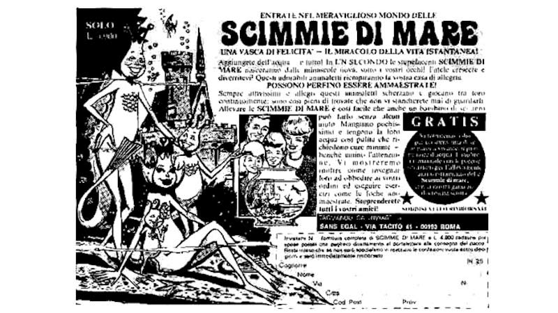 le scimmie di mare